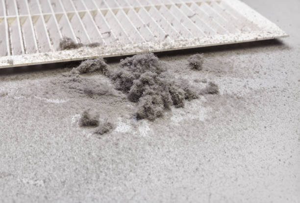 Best Professional Duct Cleaning Services  in Searles Valley, CA