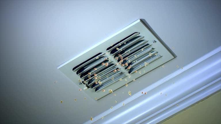 Best Air Duct Cleaning Near Me  in Searles Valley, CA