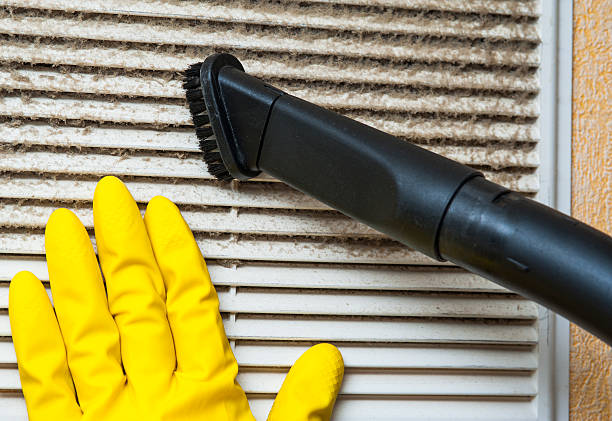 Best Air Vent Cleaning Services  in Searles Valley, CA